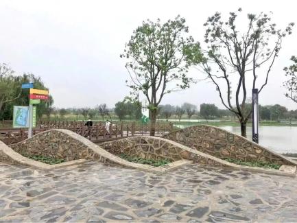 大白荡生态公园_白茆二龙塘水生态公园 芜湖乡村旅游 白茆现代农业产业园