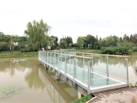 大白荡生态公园_白茆二龙塘水生态公园 芜湖乡村旅游 白茆现代农业产业园