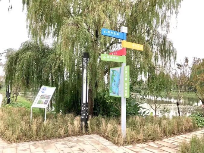 白茆二龙塘水生态公园 芜湖乡村旅游 白茆现代农业产业园_大白荡生态公园