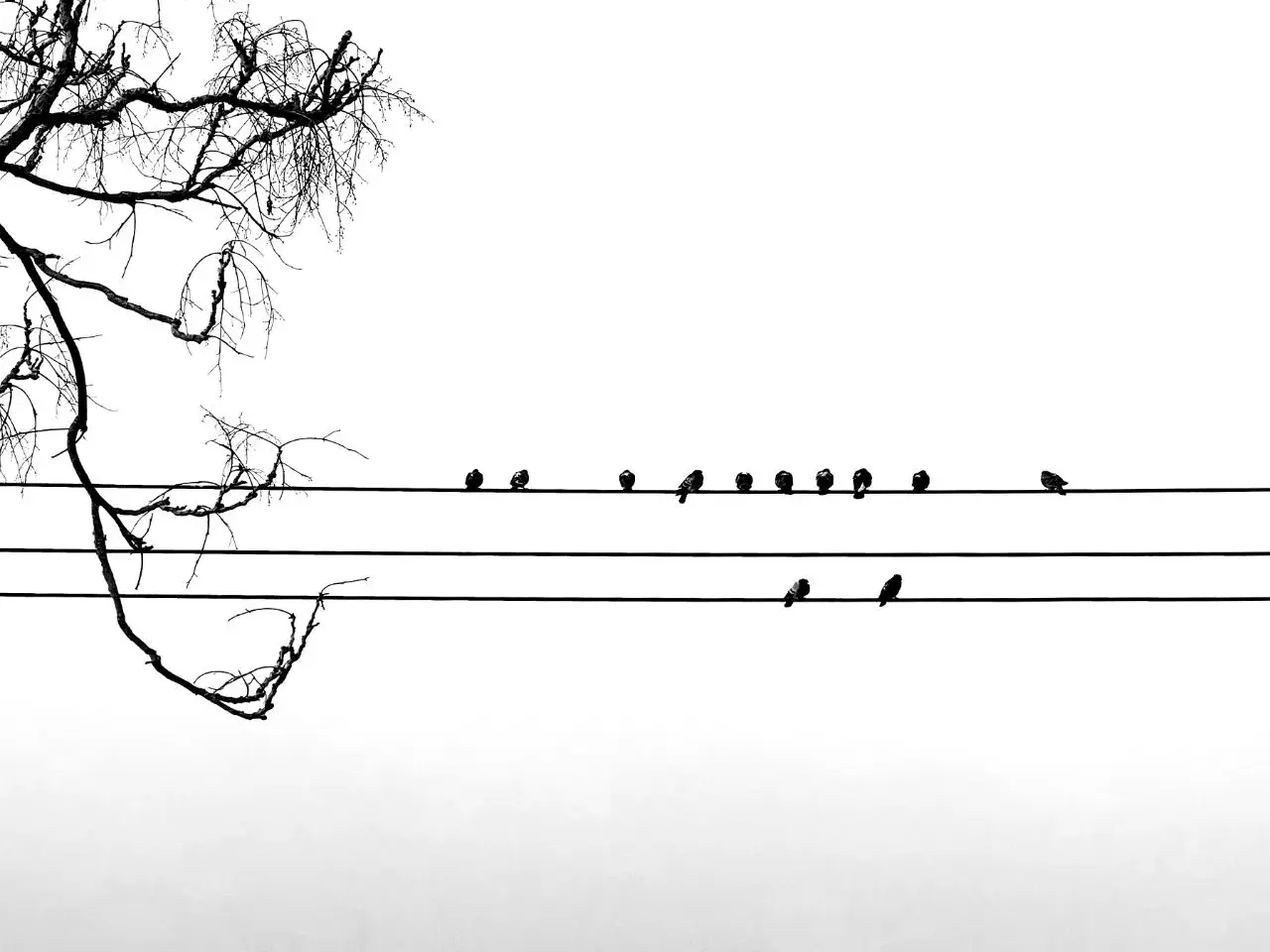 三分法则对角线原则_手机摄影构图技巧_摄影取景构图入门教程下载