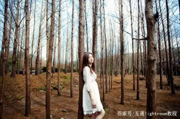 室外人像摄影构图技巧_摄影取景构图入门教程下载_人像旅影主体与陪衬