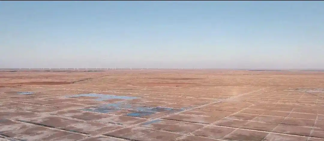 养殖龙头股 生态农业_牧原股份ESG报告_可持续发展战略实践