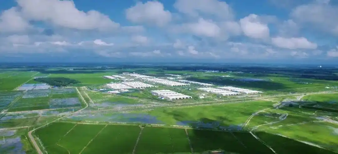 牧原股份ESG报告_养殖龙头股 生态农业_可持续发展战略实践