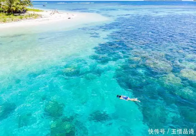中国新型海上设备_地效飞行器视频_地效飞行器