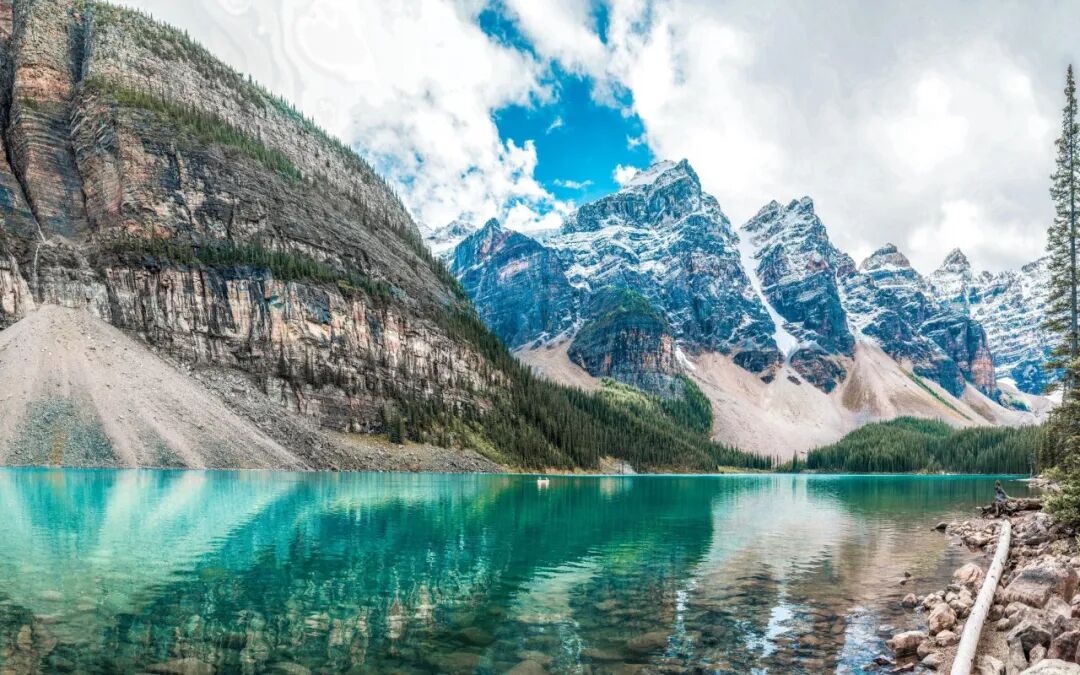 森林生态系统的特点_涵养水源与保持水土_森林生态系统功能