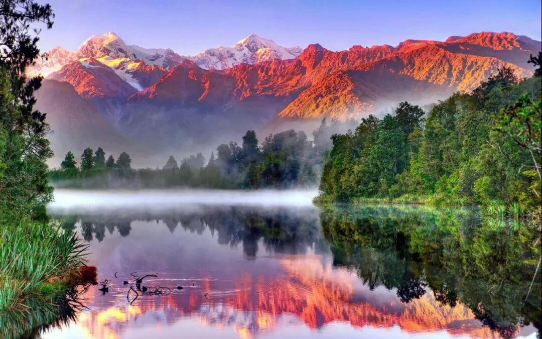 森林生态系统功能_涵养水源与保持水土_森林生态系统的特点