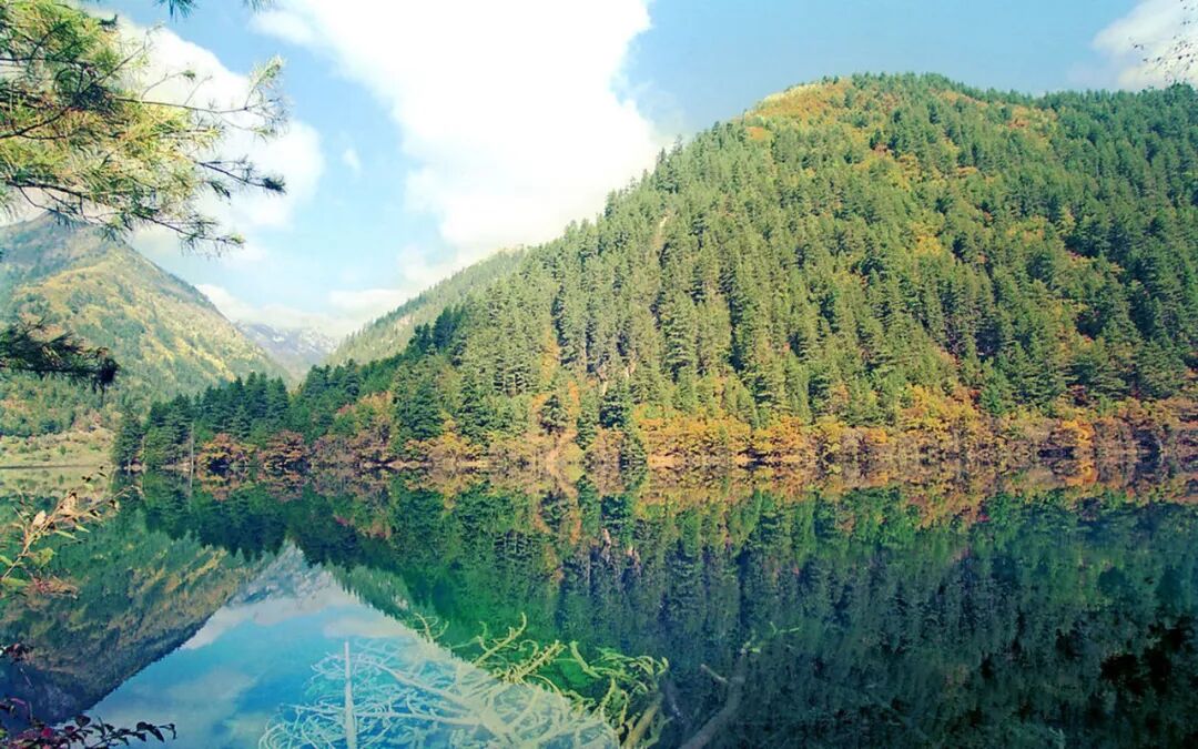 森林生态系统功能_森林生态系统的特点_涵养水源与保持水土