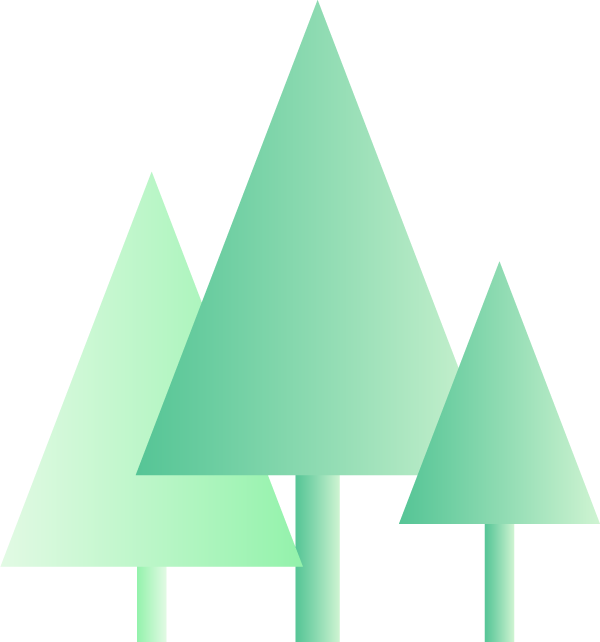 涵养水源与保持水土_森林生态系统的特点_森林生态系统功能