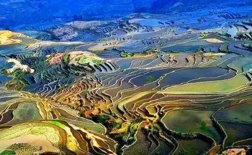 福建地图像什么_习近平生态文明思想 福建山水 习近平在福建工作十七年半