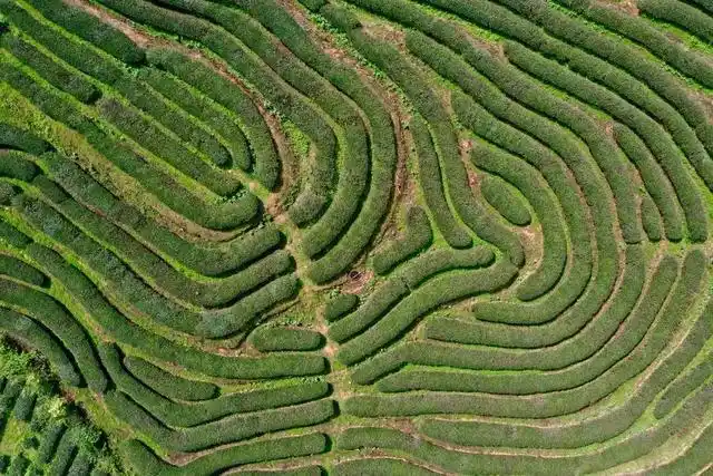习近平生态文明思想 福建山水 习近平在福建工作十七年半_福建地图像什么