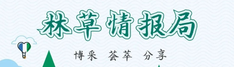 森林生态系统净化空气功能_森林生态系统固碳释氧功能_森林生态系统的特点