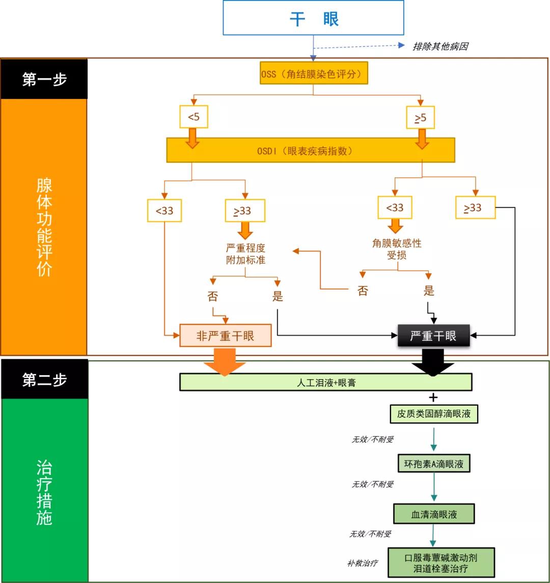 干燥综合征干眼治疗_重组人表皮生长因子衍生物滴眼液_玻璃酸钠滴眼液环孢素区别