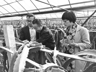 大学生村官论坛_优秀女大学生村官_大学生村官创业经验分享