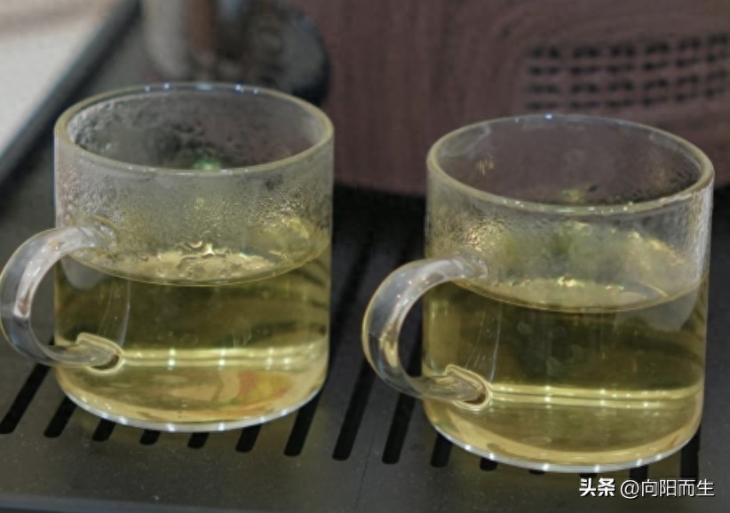 春天女性喝什么汤好_金银花蒲公英茶_清热解毒_家常养生水