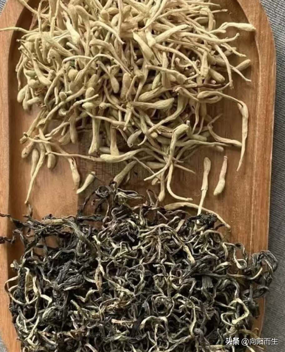 金银花蒲公英茶_清热解毒_家常养生水_春天女性喝什么汤好