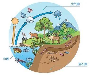 生态平衡_生态平衡蝴蝶效应案例_黄石公园狼群生态影响