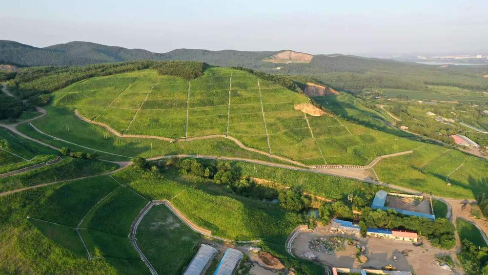 跨区域流域生态补偿机制_生态平衡实现路径_生态平衡