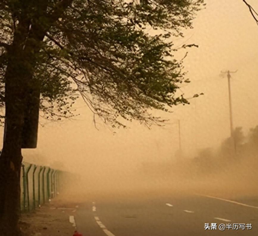 外蒙古草原沙化问题_内蒙古生态恶化_北方治沙成果难守住