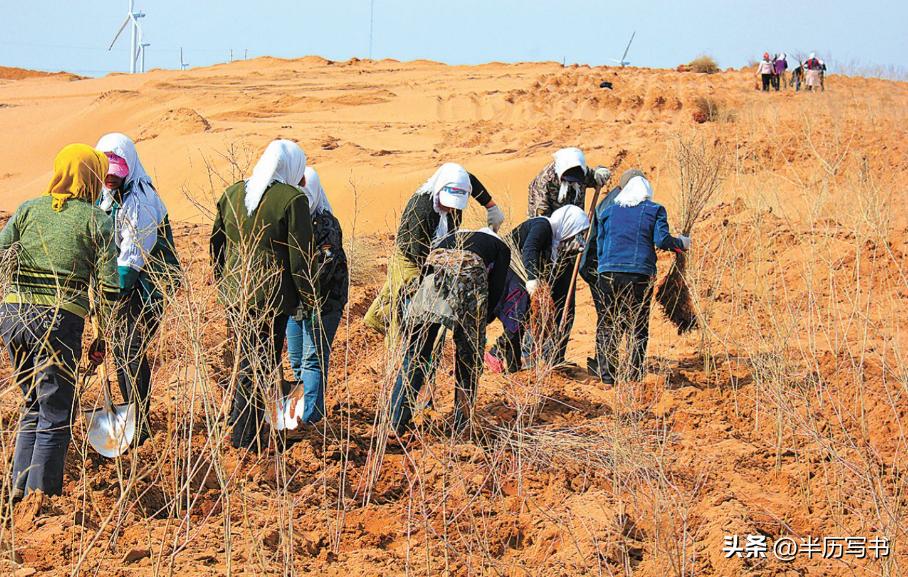 外蒙古草原沙化问题_内蒙古生态恶化_北方治沙成果难守住