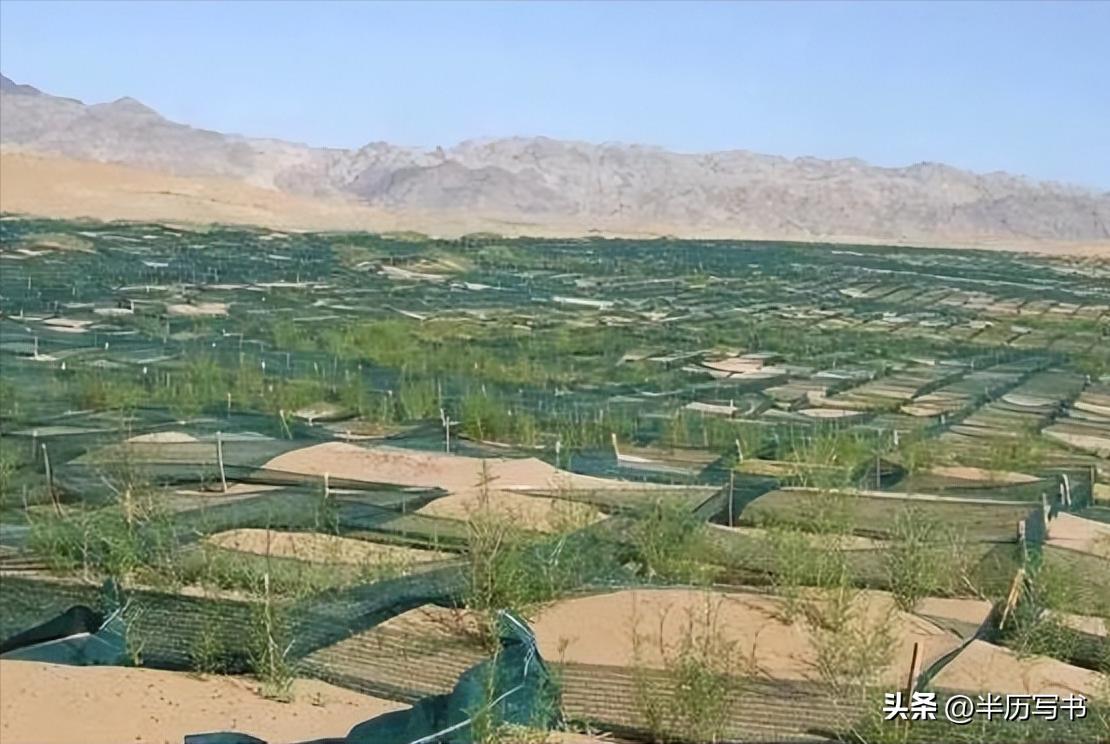 北方治沙成果难守住_外蒙古草原沙化问题_内蒙古生态恶化