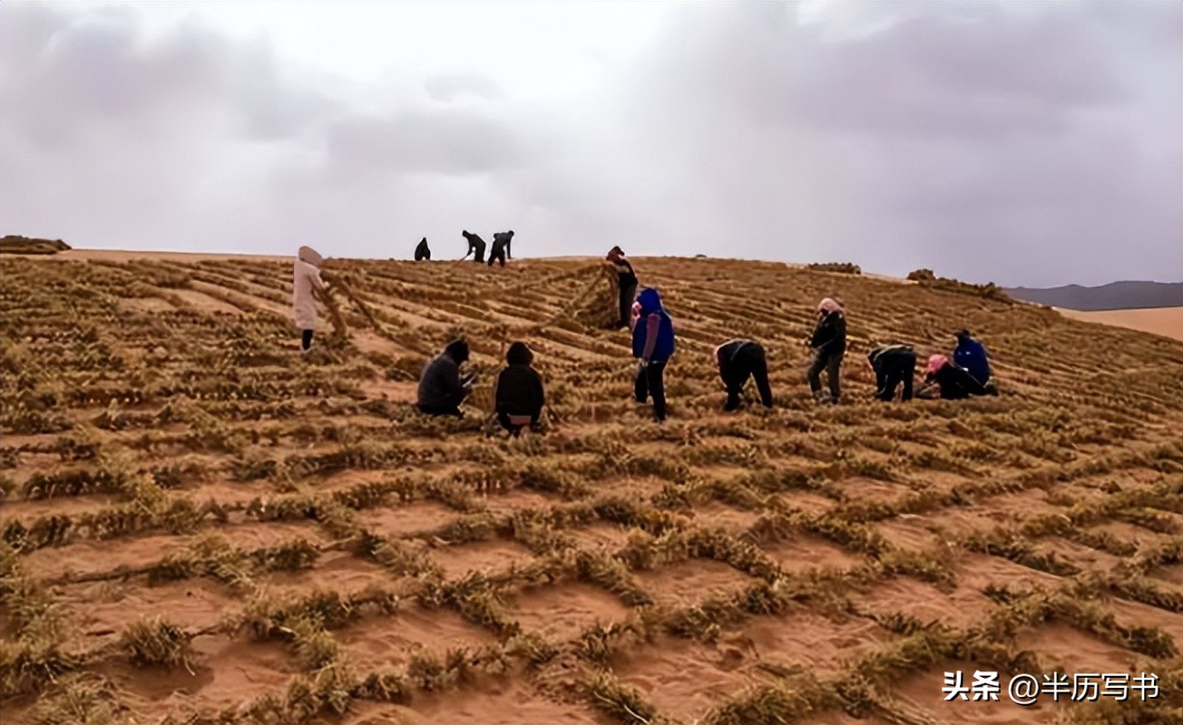 北方治沙成果难守住_外蒙古草原沙化问题_内蒙古生态恶化