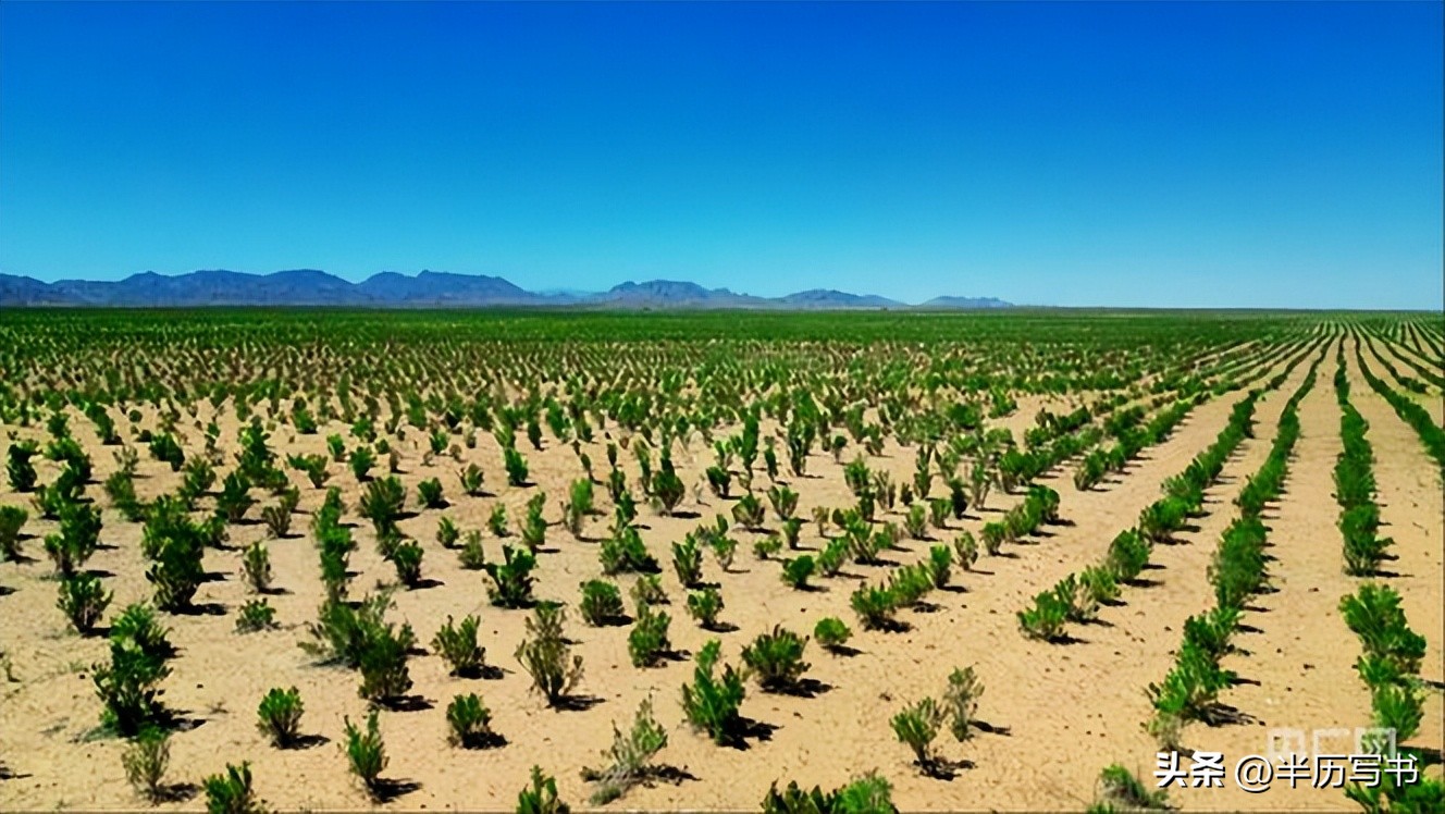 北方治沙成果难守住_内蒙古生态恶化_外蒙古草原沙化问题