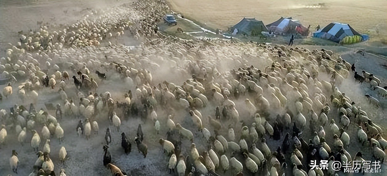 外蒙古草原沙化问题_北方治沙成果难守住_内蒙古生态恶化