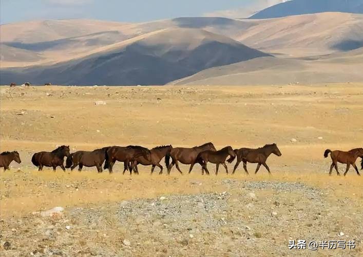外蒙古草原沙化问题_北方治沙成果难守住_内蒙古生态恶化