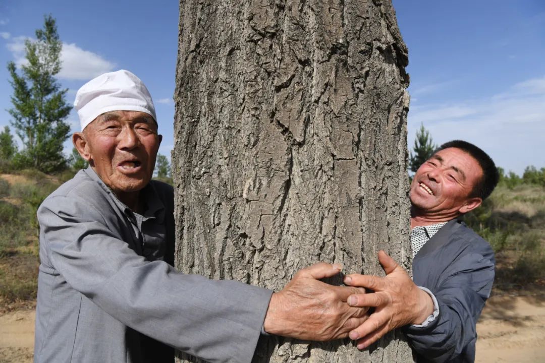 毛乌素沙地治理_石峁遗址历史变迁_内蒙古生态恶化