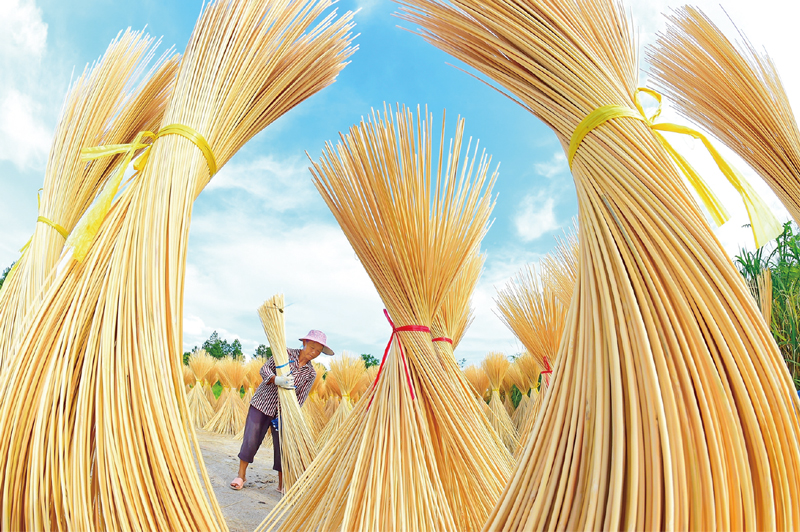 实现生态文明建设的内涵_绿色低碳循环发展经济体系_全面绿色转型