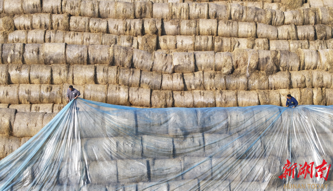 禁烧秸杆_湖南秸秆限烧区管理政策_湖南秸秆禁烧区划定方案