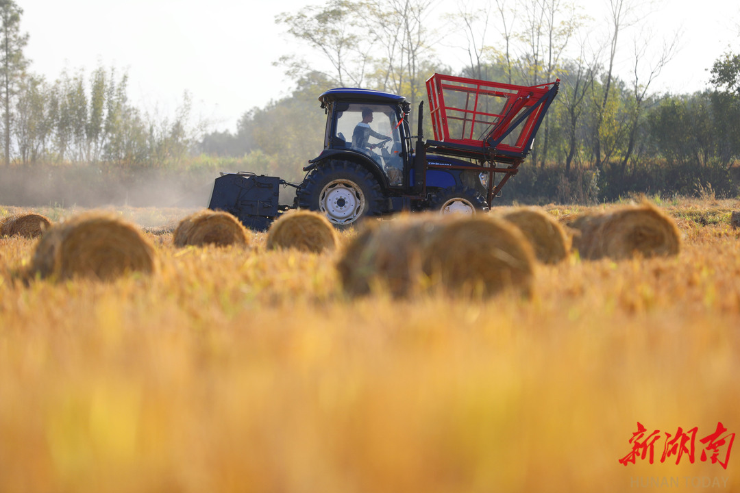 湖南秸秆禁烧区划定方案_禁烧秸杆_湖南秸秆限烧区管理政策