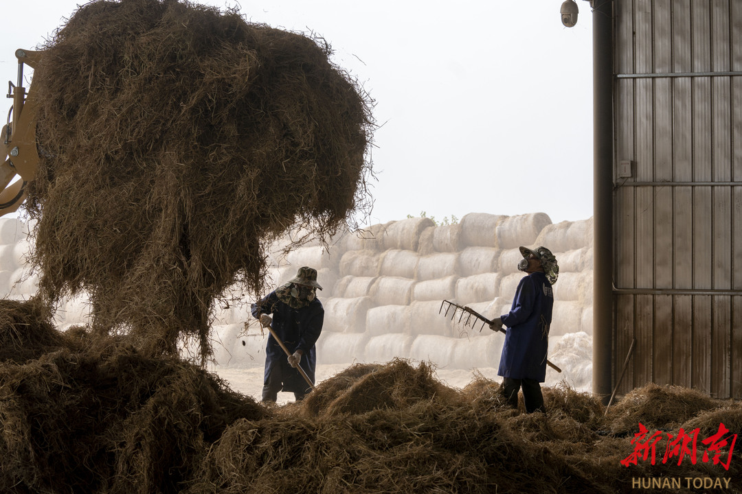 禁烧秸杆_湖南秸秆限烧区管理政策_湖南秸秆禁烧区划定方案