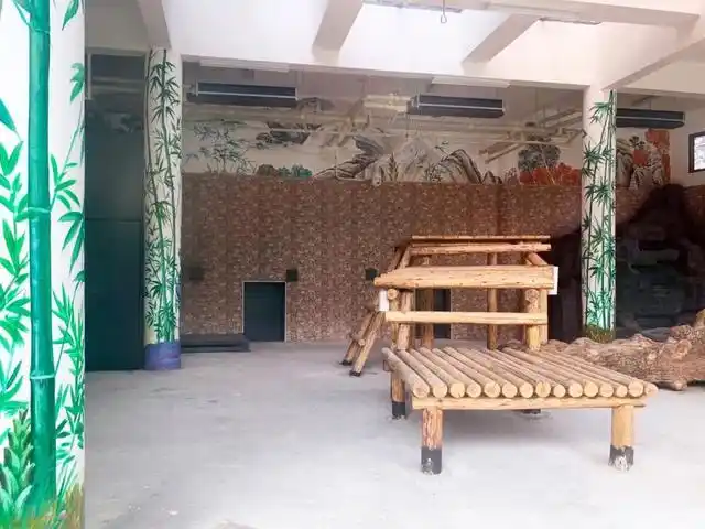 长沙生态动物园团购_长沙生态动物园大熊猫门票价格_长沙大熊猫基地大美青青