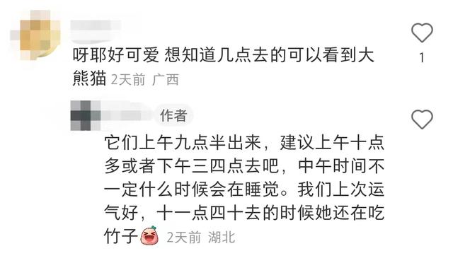 长沙大熊猫基地大美青青_长沙生态动物园团购_长沙生态动物园大熊猫门票价格