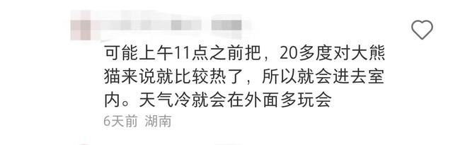 长沙大熊猫基地大美青青_长沙生态动物园团购_长沙生态动物园大熊猫门票价格