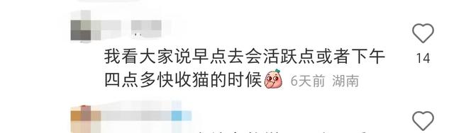 长沙生态动物园大熊猫门票价格_长沙生态动物园团购_长沙大熊猫基地大美青青