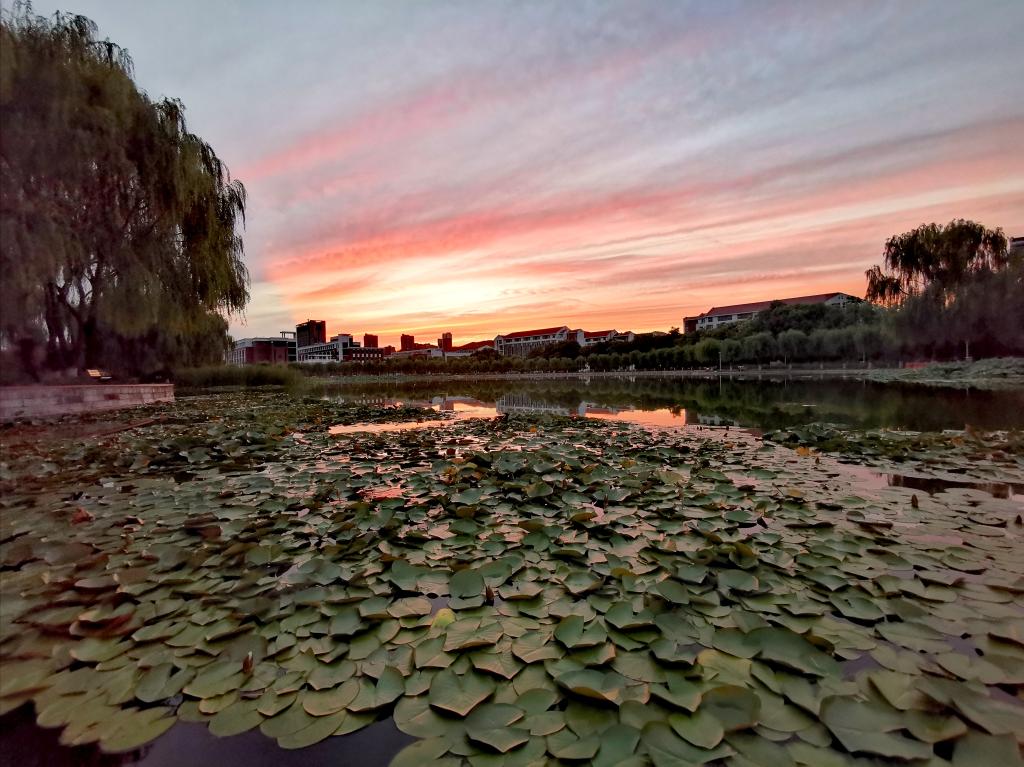 河北国办专科学校_承德石油高等专科学校转设职业本科_河北石油职业技术大学