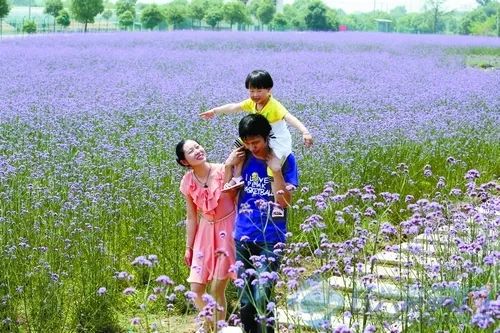 生态农业特点优势_生态农业 ppt素材_生态农业概念定义