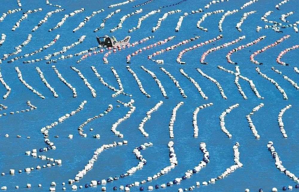 文化建设图片_福建海洋文化内涵_福建海洋文化