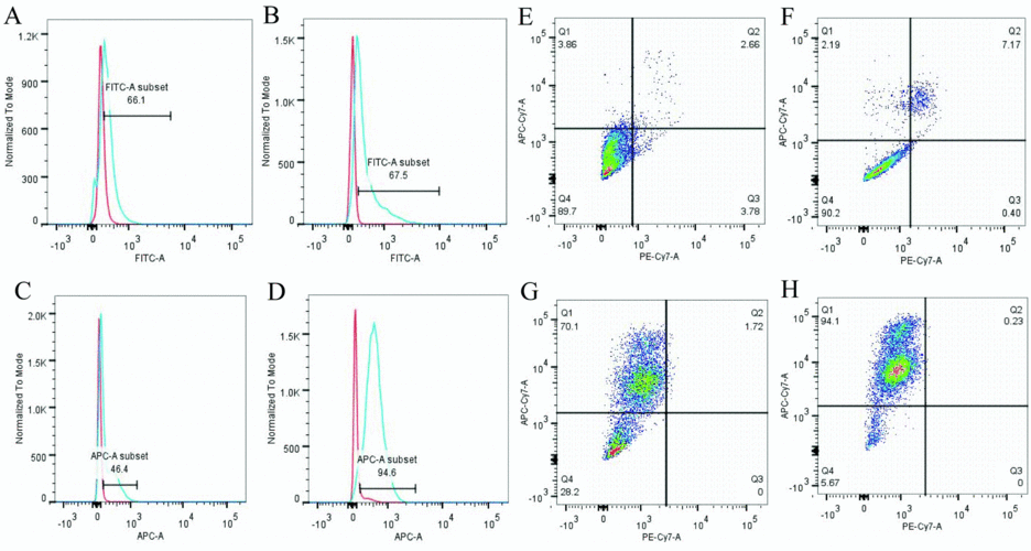 薄膜太阳能电池的封装形式_激子光伏器件_CdTe薄膜太阳能电池