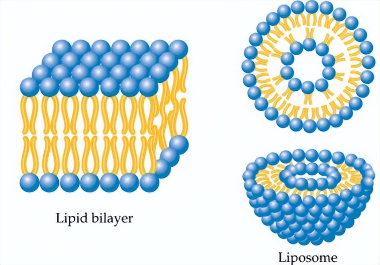 激子光伏器件_CdTe薄膜太阳能电池_薄膜太阳能电池的封装形式