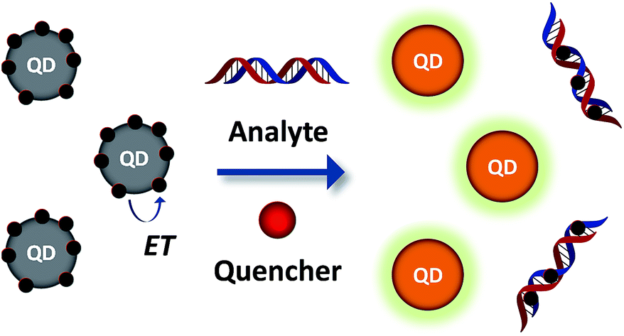 薄膜太阳能电池的封装形式_CdTe薄膜太阳能电池_激子光伏器件