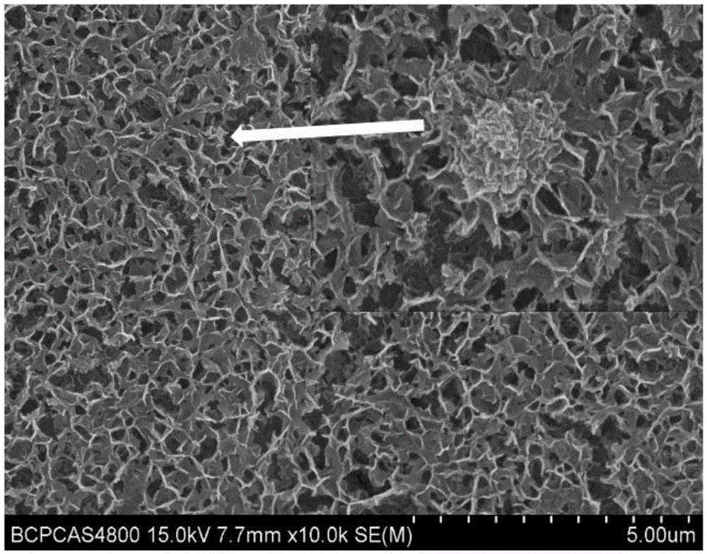 薄膜太阳能电池的封装形式_激子光伏器件_CdTe薄膜太阳能电池