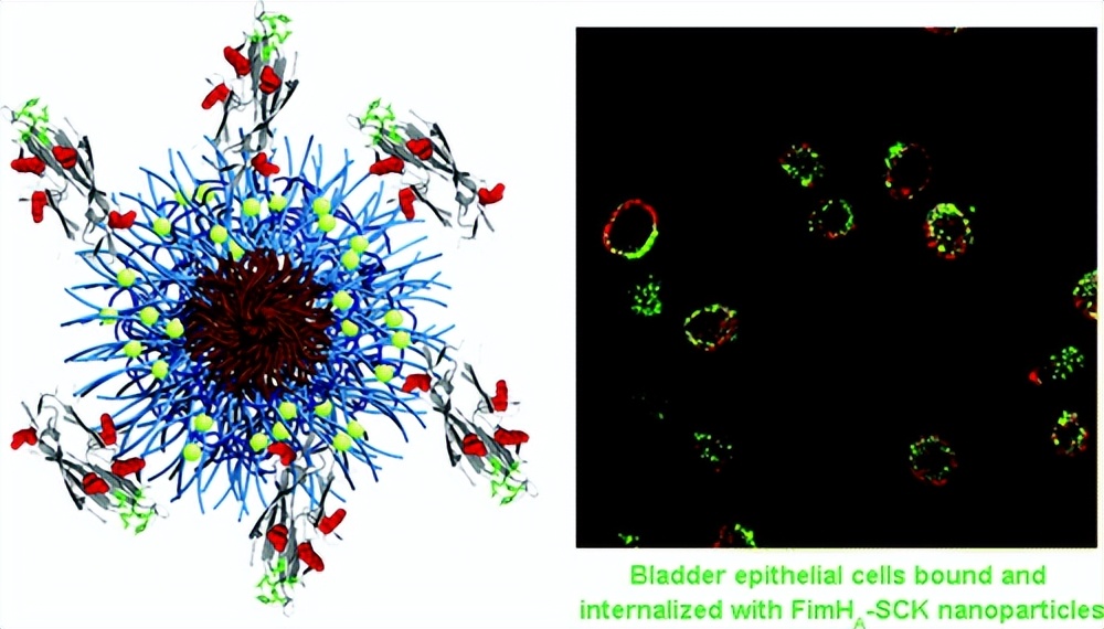 激子光伏器件_CdTe薄膜太阳能电池_薄膜太阳能电池的封装形式