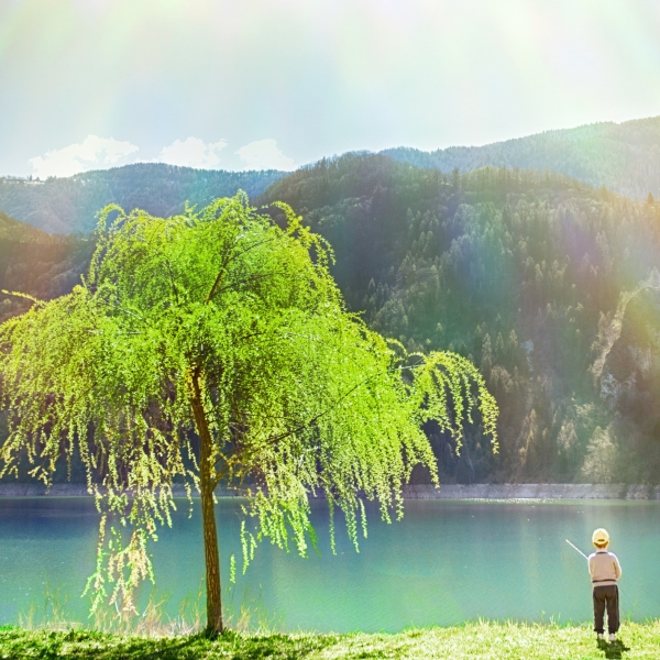 清明上河图 张择端 北宋盛世社会警示录_中国邮政清明上河图