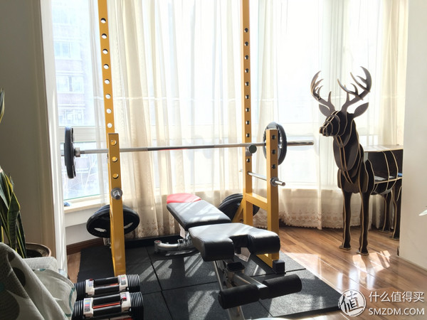 180磅的哑铃_哑铃选购指南_家庭健身设备