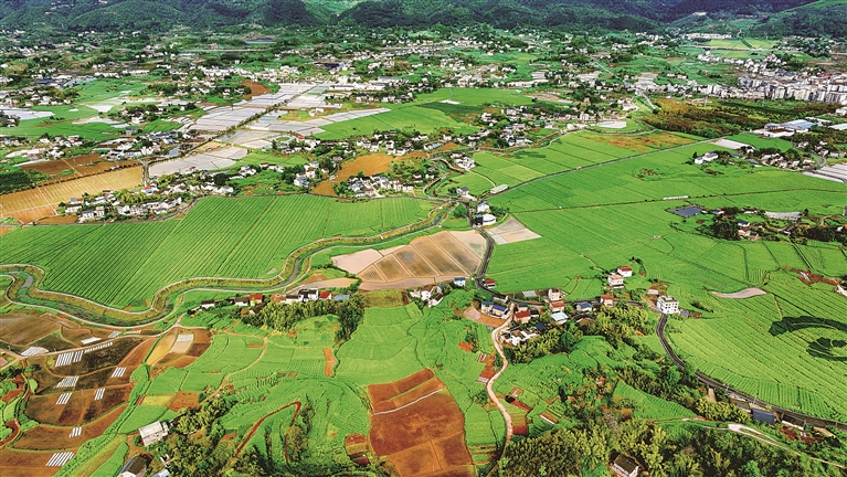 农业绿色转型 助力美丽中国建设