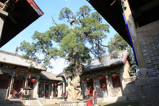 西安到洛阳旅游攻略_洛阳龙门石窟游玩指南_洛阳自驾游去烧烤