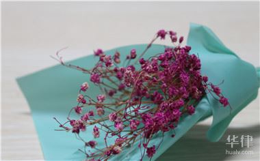 孙子可以继承爷爷的土地使用权吗